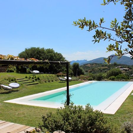 Albero Capovolto Bed & Breakfast Golfo Aranci Eksteriør bilde