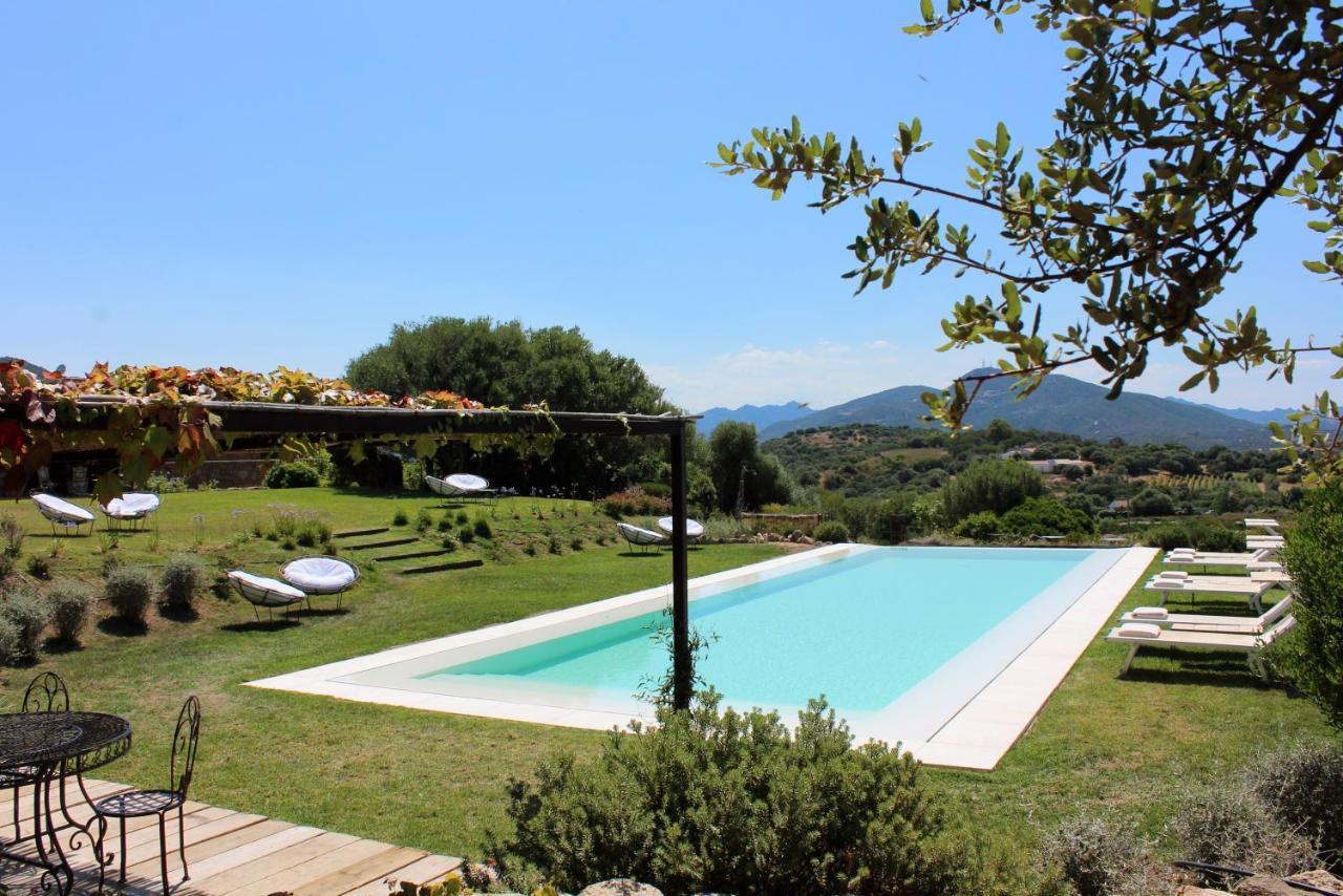 Albero Capovolto Bed & Breakfast Golfo Aranci Eksteriør bilde