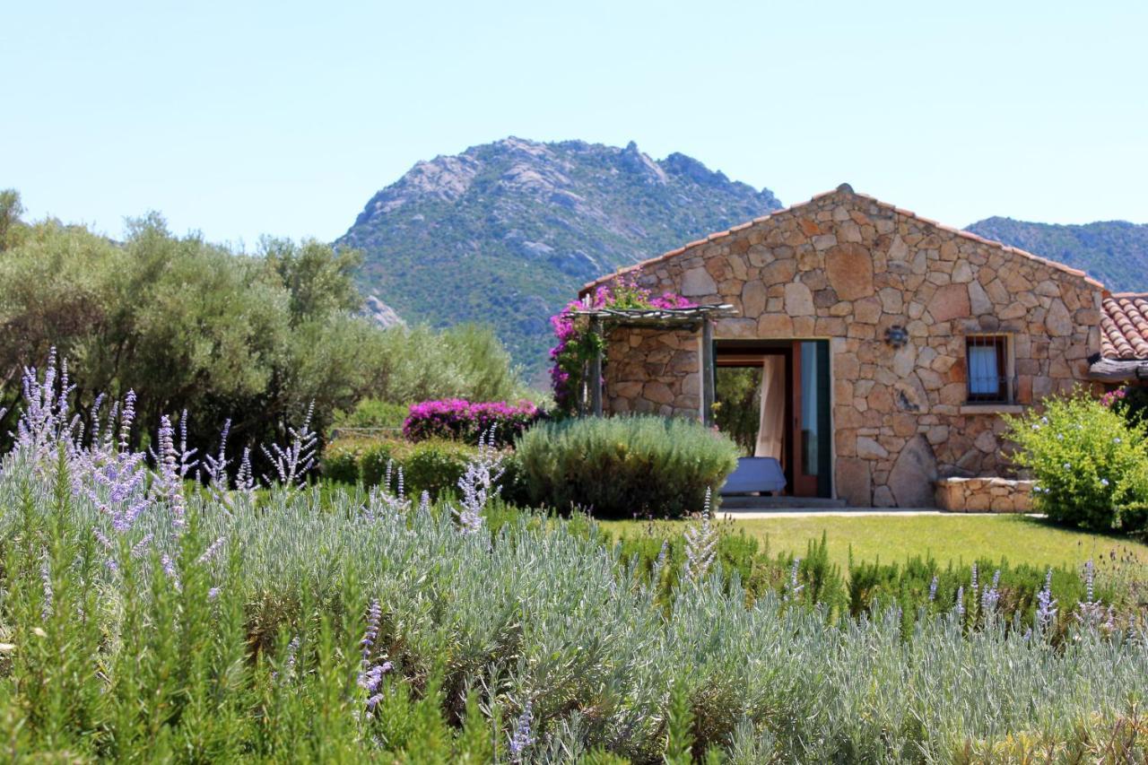 Albero Capovolto Bed & Breakfast Golfo Aranci Eksteriør bilde